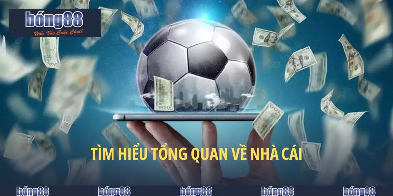 Giới thiệu tổng quan về trang cược BONG88 - uy tín, chất lượng hàng đầu