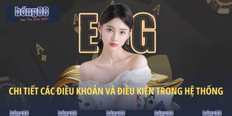 Chi tiết các điều khoản và điều kiện trong hệ thống