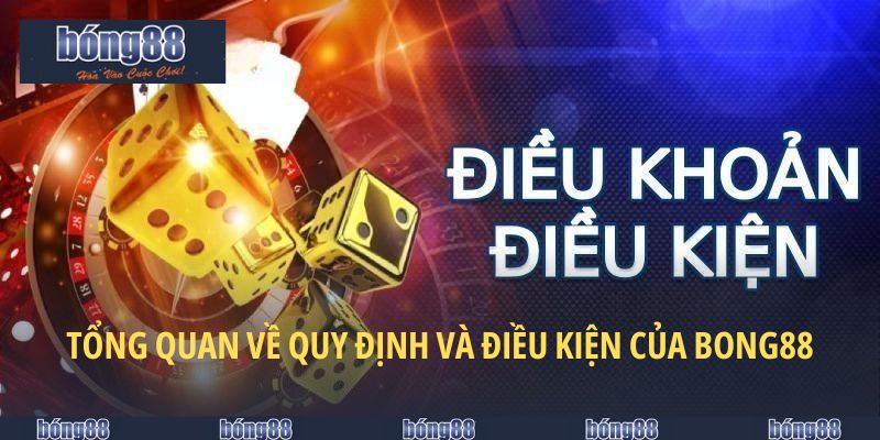 Tổng quan về quy định và điều kiện của Bong88