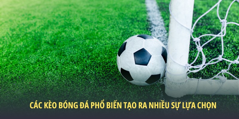 Các kèo bóng đá phổ biến tạo ra nhiều sự lựa chọn