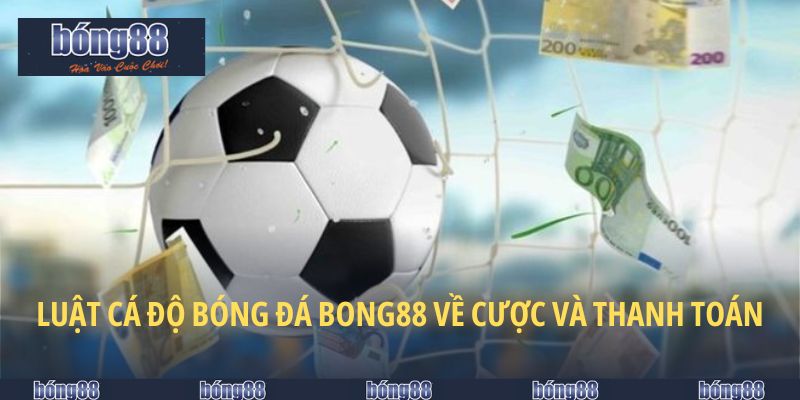 Các yêu cầu cơ bản trong hoạt động cá độ