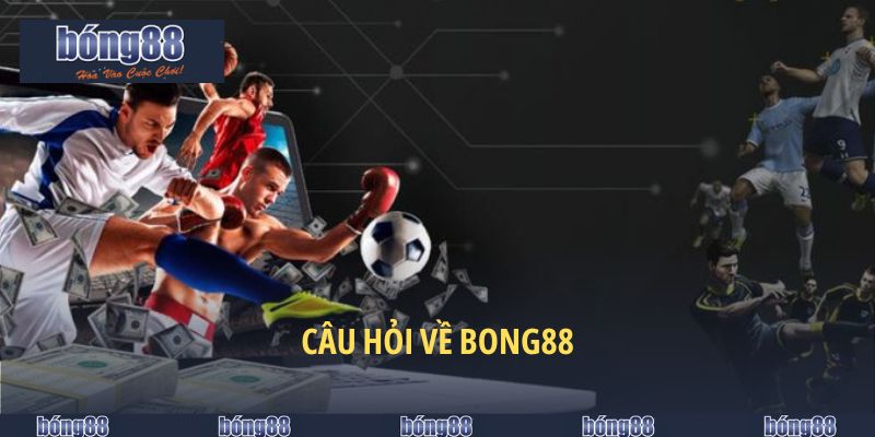 câu hỏi về bong88