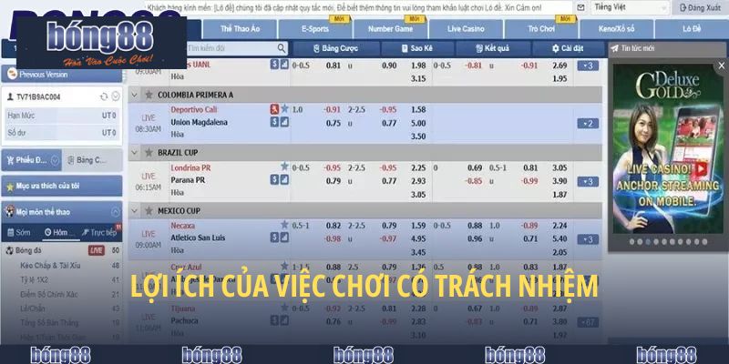 Lợi ích của việc chơi có trách nhiệm