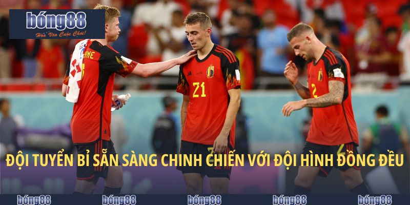 Đội tuyển Bỉ sẵn sàng chinh chiến với đội hình đồng đều