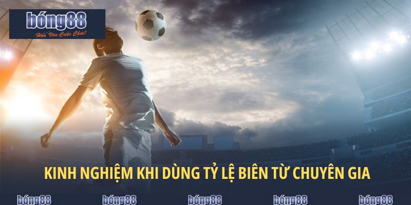 Những kinh nghiệm đắt giá được chia sẻ từ chuyên gia 