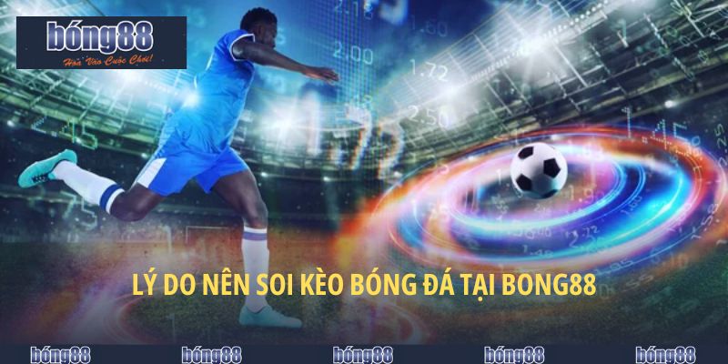 Lý do nên soi kèo bóng đá tại Bong88