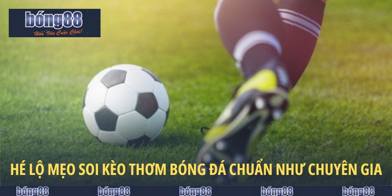 Hé lộ mẹo soi kèo thơm bóng đá chuẩn như chuyên gia
