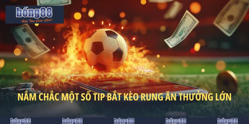 Nắm chắc một số tip bắt kèo rung ăn thưởng lớn