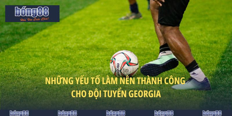 Những yếu tố làm nên thành công cho đội tuyển Georgia