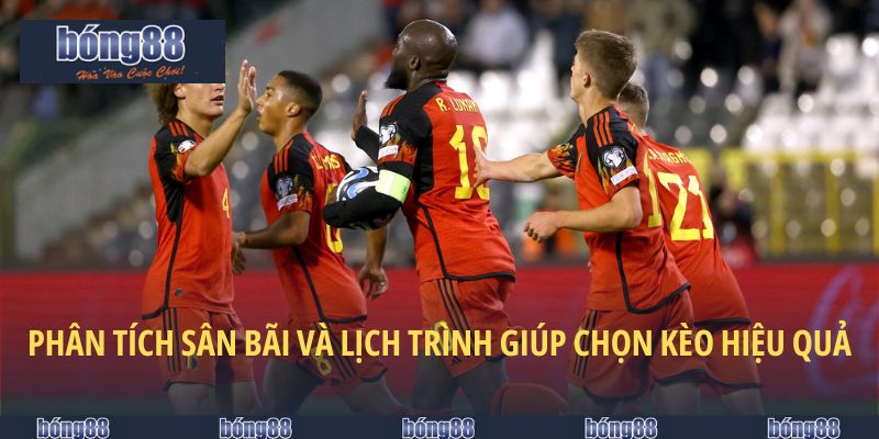 Phân tích sân bãi và lịch trình giúp chọn kèo hiệu quả