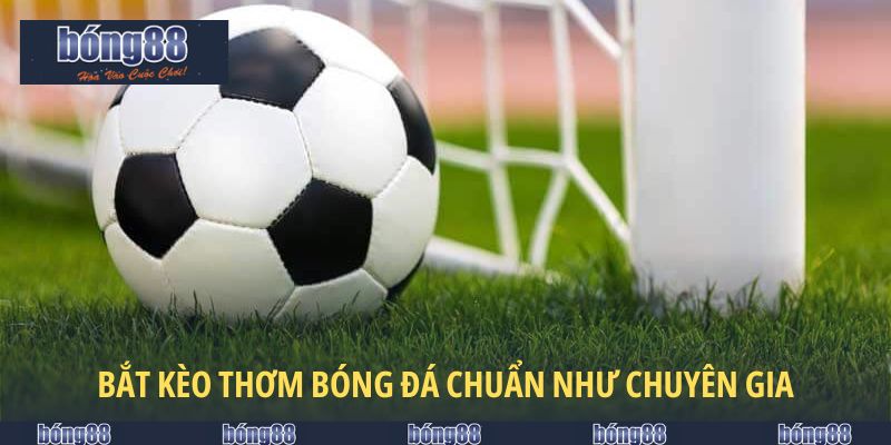 Phương pháp bắt kèo thơm bóng đá chuẩn như chuyên gia