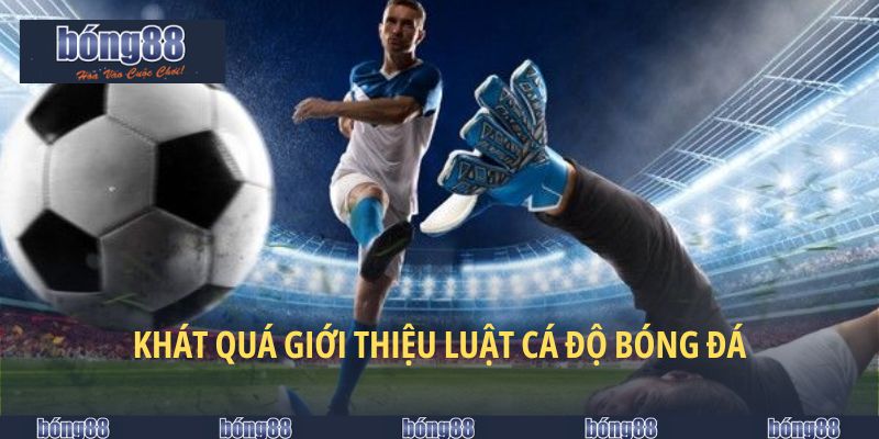 Toàn diện bộ luật cá độ bóng đá