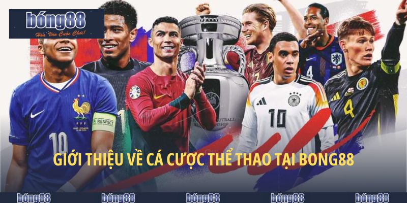 Toàn diện về cá cược thể thao tại BONG88
