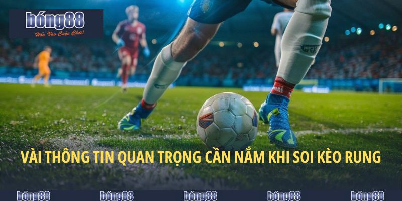 Vài thông tin quan trọng cần nắm khi soi kèo rung